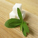  Food stevia glycoside manufacturer, stevia effect