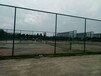 平涼球場圍網運動場球場圍網施工