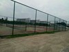 遵義球場圍網體育場球場圍網施工