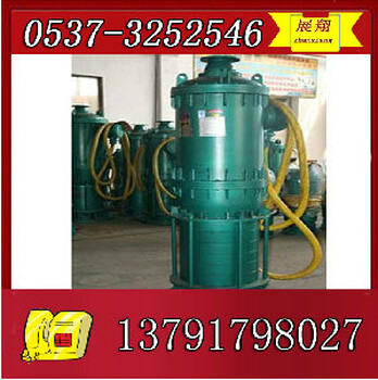 BQS(W)排污泵BQW22kw排沙泵潜水泵电泵