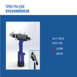 TIPEN-全自动铆接设备