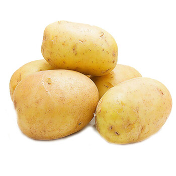 供应榆林山地种植马铃薯土豆