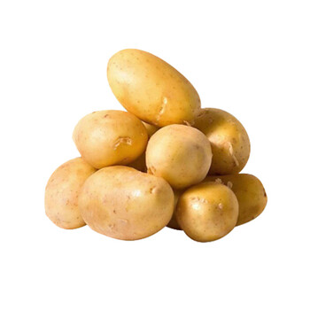 供应榆林榆阳生态马铃薯土豆