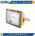 CRD6104免维护节能防爆泛光灯电磁感应灯防爆金卤灯