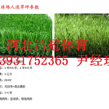 广西省人造草坪生产厂家