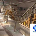 肥鵝燙毛設(shè)備的廠家有哪些諸城昊騰機(jī)械