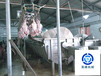 供应生产大型活禽屠宰设备的经销商诸城昊腾机械