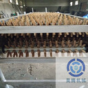 鴨子脫毛機(jī)的廠家直銷價格