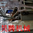 廠家專業(yè)生產(chǎn)安裝活禽屠宰生產(chǎn)線