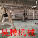 家禽宰殺脫毛流水線供應銷售廠家