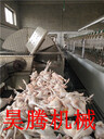 廠家專業(yè)生產(chǎn)家禽預冷機