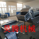 廠家直銷全自動家禽燙毛機