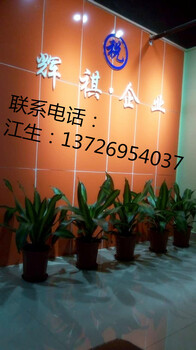 代公司注册代理记账广州天河萝岗道路运输餐饮许可