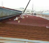供应安徽彩钢结构屋面防水卷材彩钢瓦屋面防水材料