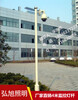 扬州弘旭生产监控杆销售4米镀锌监控杆