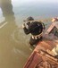潮州水下加固码头桩探测单位