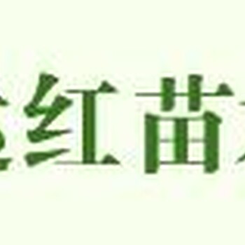 双鸭山市成都金秋砂糖橘哪个