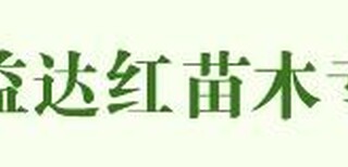 四川省乐山市罗汉松盆景价格70万种植缺点种植缺点图片5