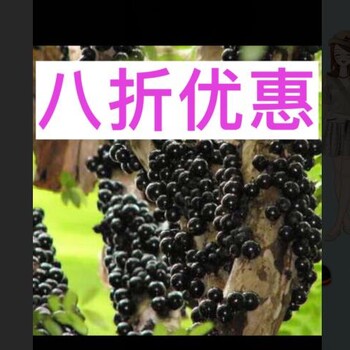 陽(yáng)新縣嘉寶果樹育苗技術(shù)視頻陽(yáng)新縣