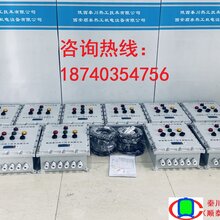 陕西秦川热工锅炉/钢厂烤包器防爆熄火保护报警安全装置图片