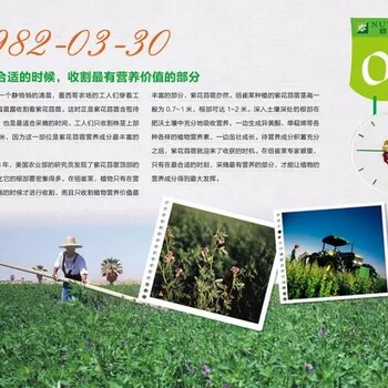 寧波北侖哪有賣安利產(chǎn)品寧波市北侖安利專賣店地址