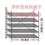 混凝土养护室试块架养护室货架养护室专用试块架养护室架子