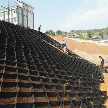 坡面种草绿化护坡蜂巢土工格室河道护岸土工网格