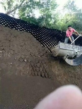 植草土工网格边坡防护绿化河道护护岸防滑坡蜂巢土工格室