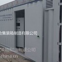 水處理集裝箱河北專業(yè)定做環(huán)保設(shè)備集裝箱水處理設(shè)備箱