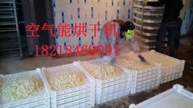 潮安热泵烘干机空气能烘干机厂家食品烘干机腊肠烘干机佛香烘干机梅子烘干机鸡腿烘干机图片1