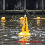 武汉内湖航标太阳能警示灯浮标图片5