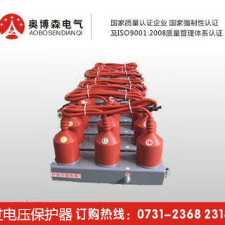 YH1.5W-8/19三相组合式过电压保护器奥博森让利销售中图片5