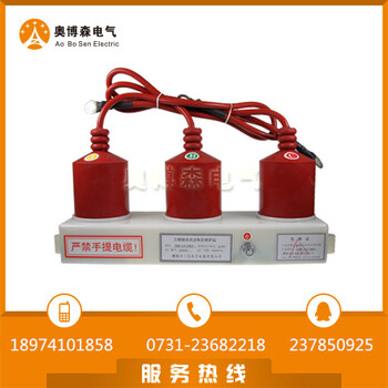 醴陵奥博森BSTG-B-12.7避雷放电计数器