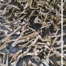 烘干房制造厂家空气能烘干房食用菌烘干房香菇烘干房图片