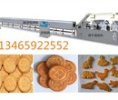 小型饼干加工机器家庭用饼干机械设备节能电力型饼干生产线恒力特图片