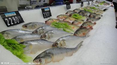 进口冷冻食品
