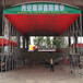 上海戶外伸縮遮陽蓬移動推拉雨棚活動式防雨蓬大型物流倉庫帳篷