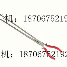 铁路信号超长弯嘴钳陕西鸿信铁路设备有限公司