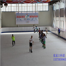 仿真溜冰板仿真滑冰板人造滑冰场图片