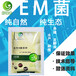 黄粉虫养殖怎么使用EM菌