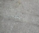惠州市沥林镇厂房地面起灰处理——沥林水泥地起砂处理图片
