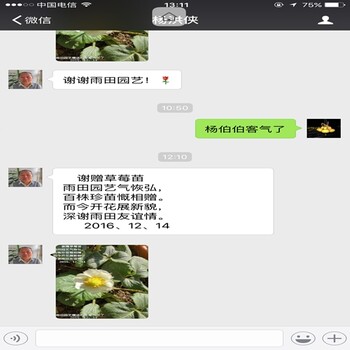 新聞臨沂常得樂草莓苗種植技術(shù)免費(fèi)包教包會