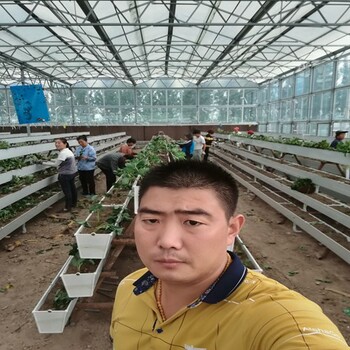 新聞上饒夢(mèng)香草莓苗基地質(zhì)量有