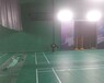 温州PVC羽毛球运动地板-温州体育场地建设报价-强锐体育