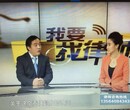 上海委托理财合同纠纷律师