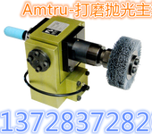 德国Amtru原装Swingtool225打磨抛光精密浮动主轴专用工具产品