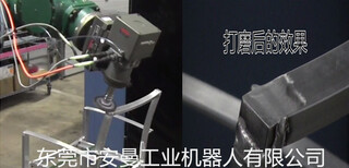 工业机器人电动去毛边去焊缝打磨力控设备图片0