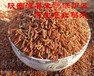 食用红米批发1000g陕西洋县原生态有机红米产地厂家直销