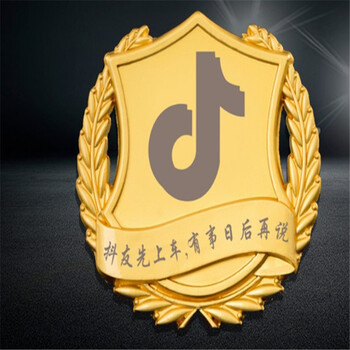 訂做醫(yī)院徽章，烤漆徽章供應(yīng)徽章，花樣徽章
