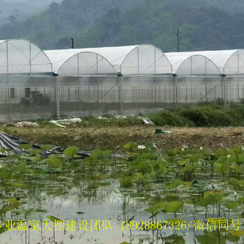 花卉大棚价格/花卉温室大棚骨架/花卉温室大棚建造